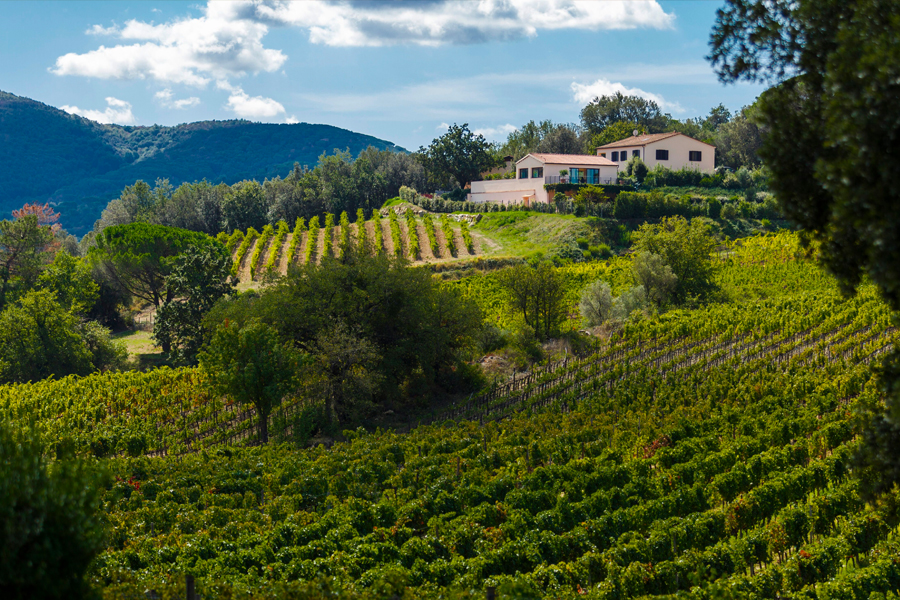 Grattamacco - Di sản vùng đất Bolgheri