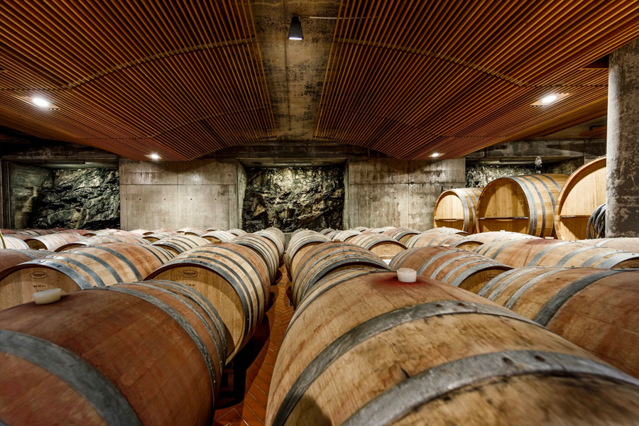 Đôi nét về dòng rượu vang đỏ Poggio di Sotto Brunello di Montalcino 