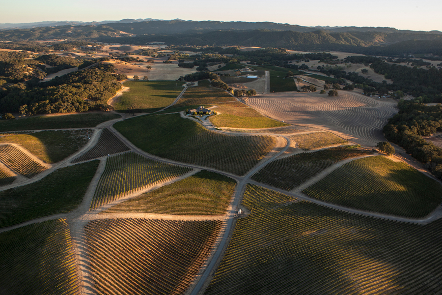 Paso Robles - từ vùng đất mới tới những ruộng nho vượt trội
