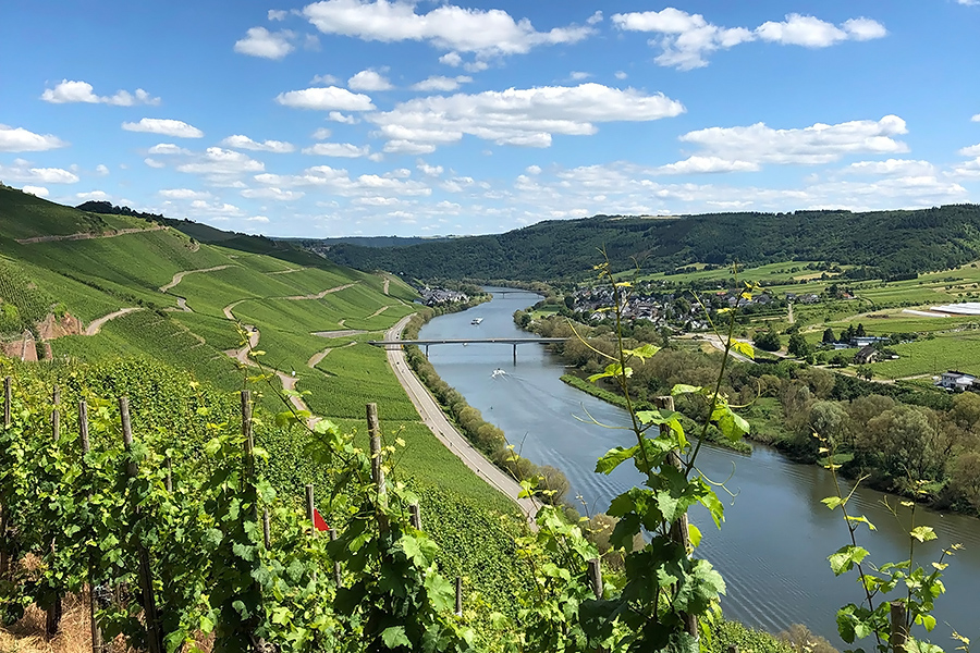 Kinheimer Hubertuslay Auslese Riesling - Tinh hoa từ vùng đất dốc ven sông