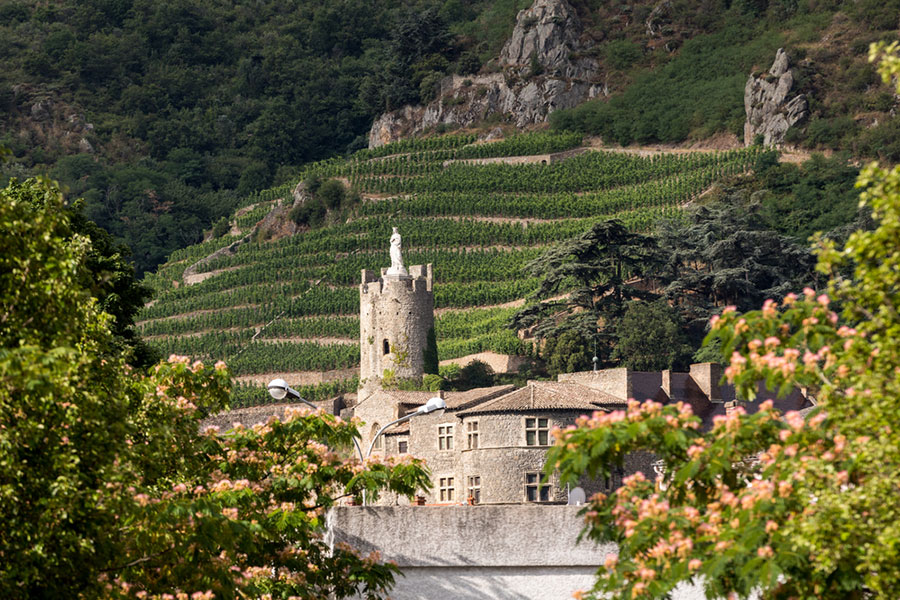 Ngôi làng Hermitage giống như một tập hợp ba ngọn đồi liền kề hướng về phía Nam