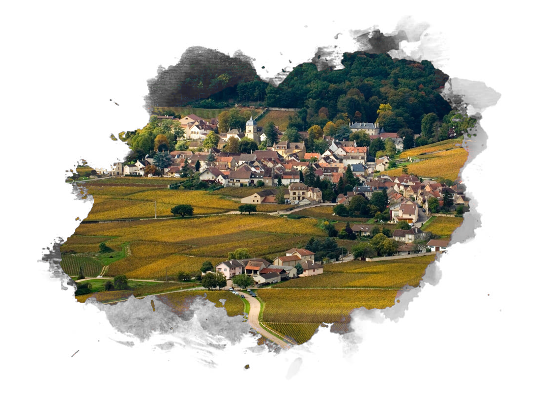 Chambolle-Musigny