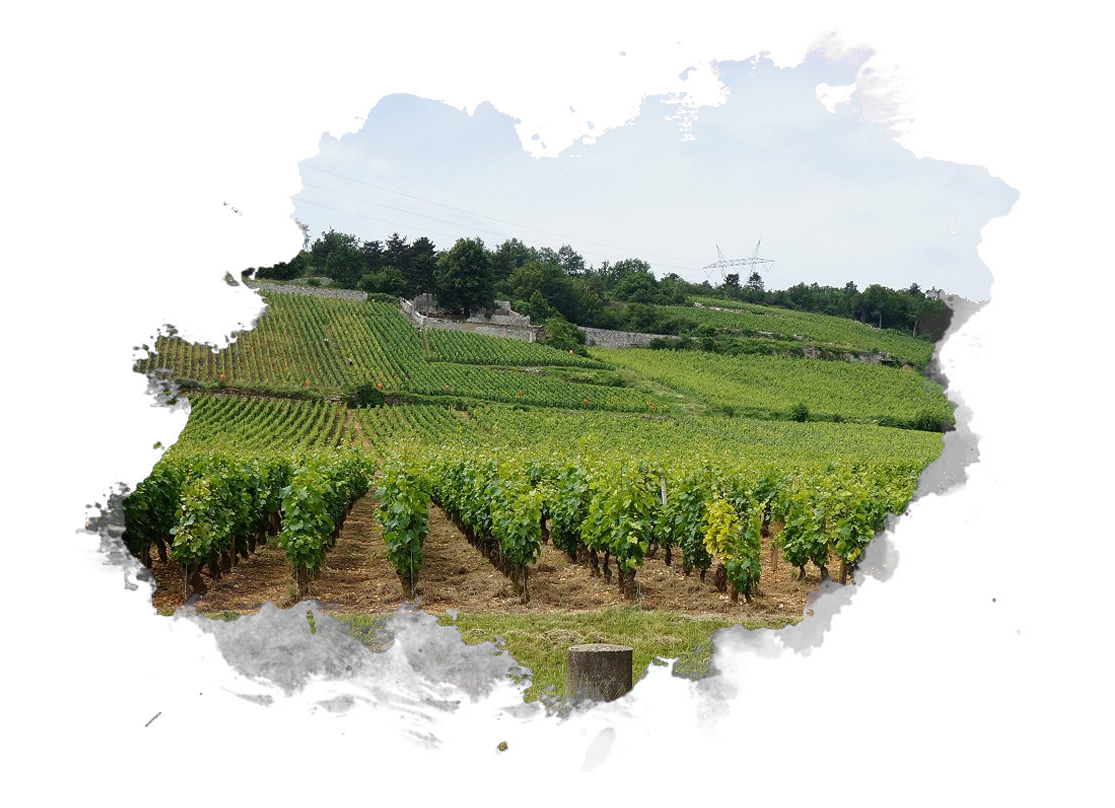 Nuits-Saint-Georges