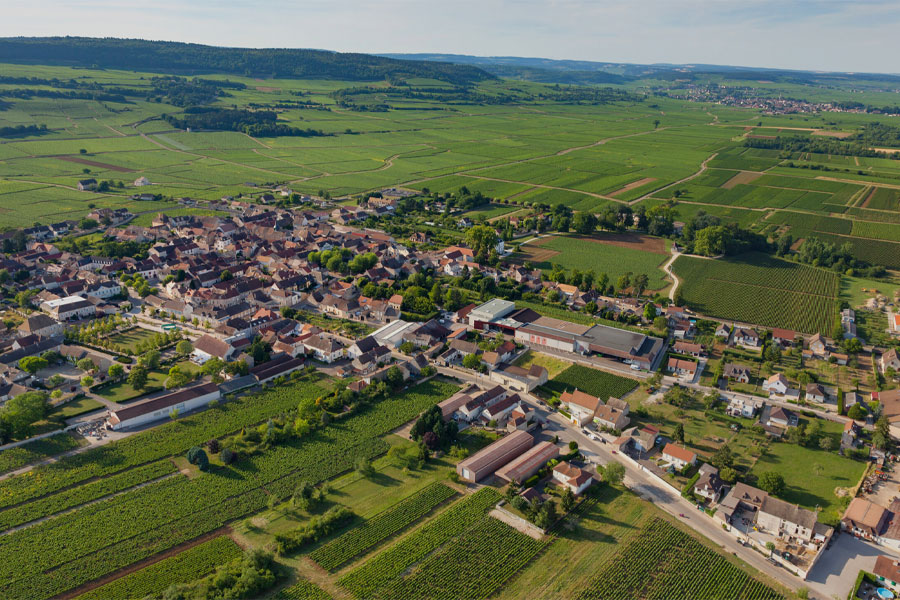 Perron de Mypont đang dần hướng tới sự hoàn hảo tại vùng Bourgogne trứ danh
