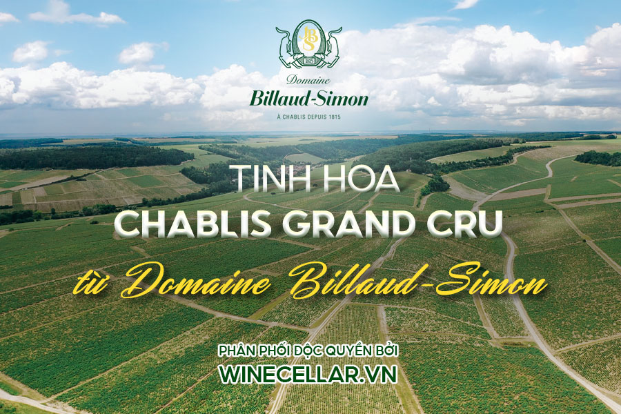 Tinh Hoa Chablis Grand Cru Từ Domaine Billaud-Simon