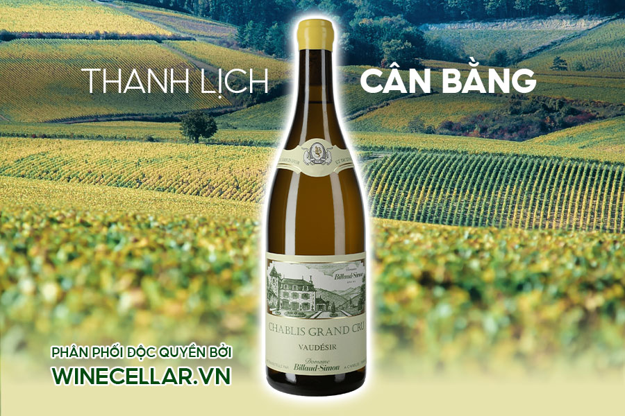 Chablis Grand Cru Vaudésir