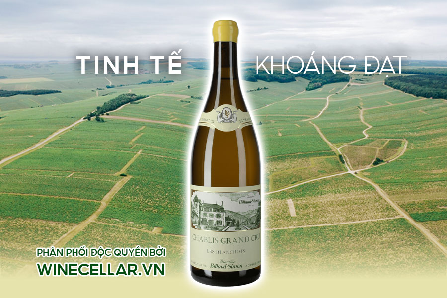 Chablis Grand Cru Les Blanchots